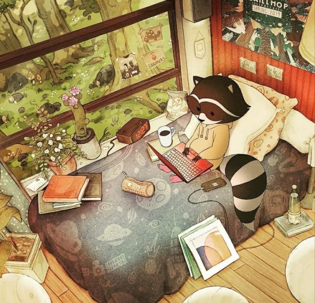 raccoon 09.04.2020