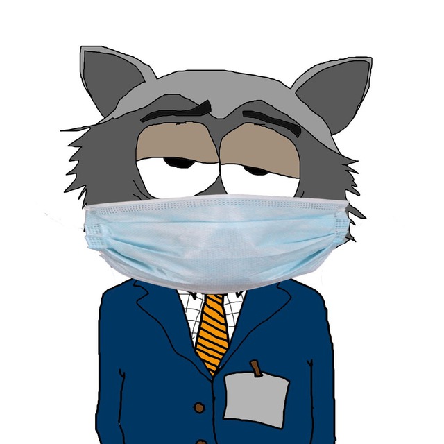 raccoon 07.04.2020