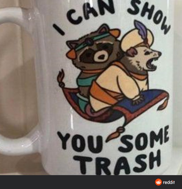 raccoon 04.04.2020