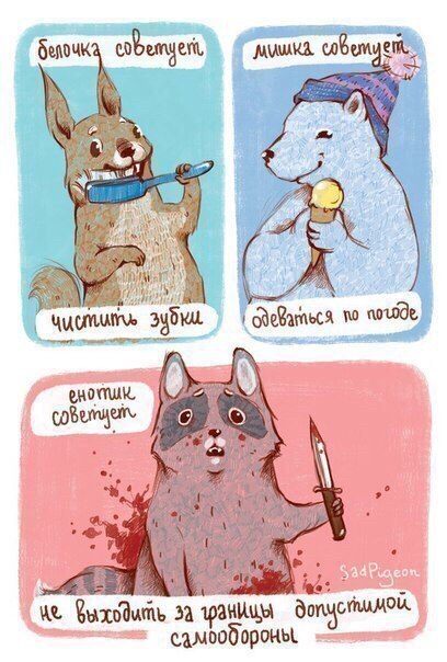 raccoon 26.03.2020