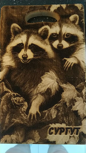 raccoon 03.03.2020