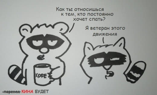 raccoon 02.03.2020