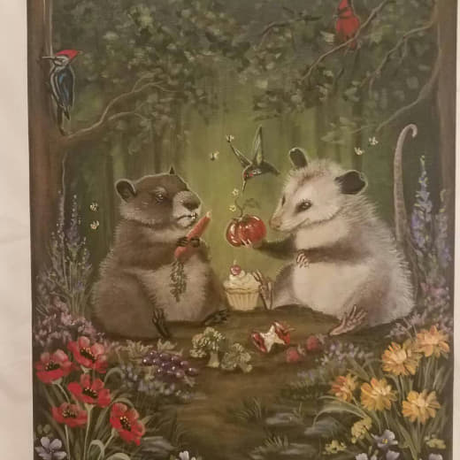 raccoon 20.02.2020