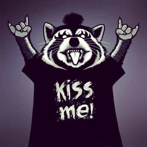 raccoon 19.02.2020