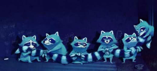 raccoon 18.02.2020