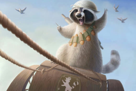 raccoon 18.02.2020
