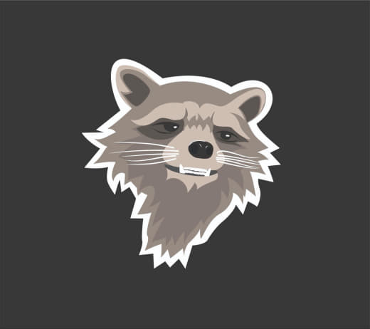 raccoon 18.02.2020