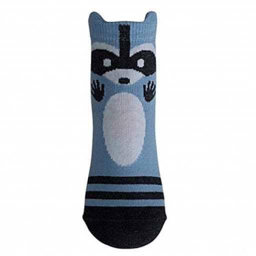 raccoon 15.02.2020