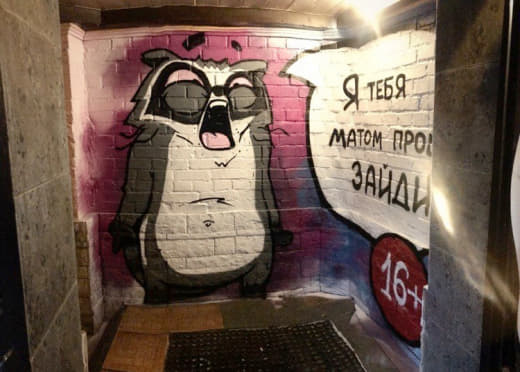 raccoon 12.02.2020
