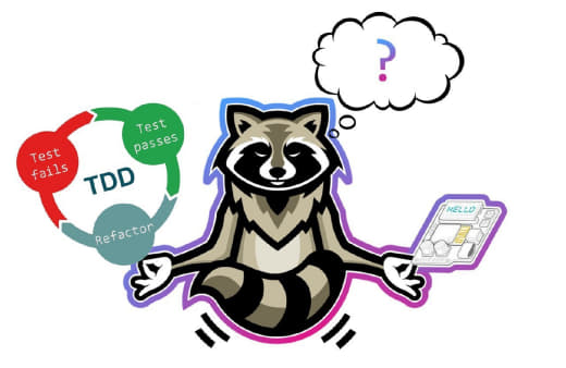 raccoon 12.02.2020