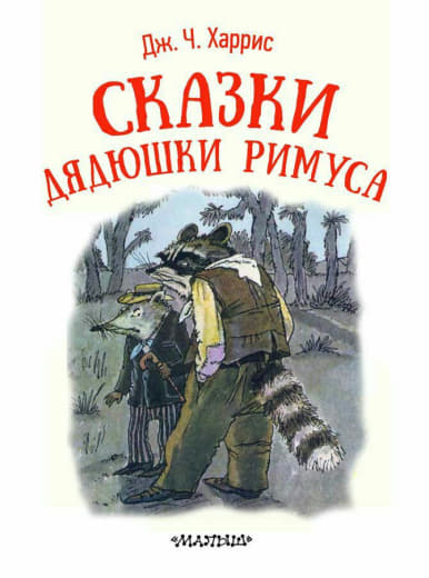 raccoon 11.02.2020