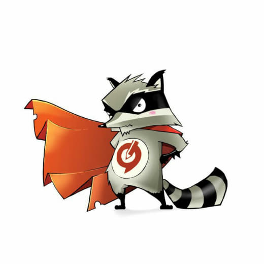 raccoon 06.02.2020