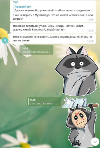 raccoon 06.02.2020
