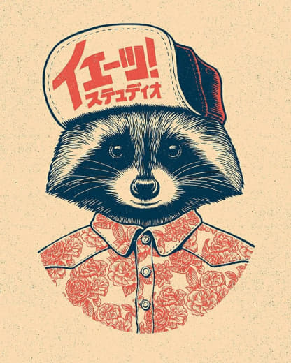 raccoon 04.02.2020
