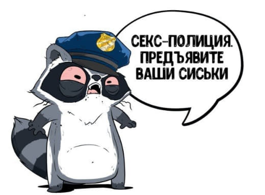 raccoon 04.02.2020