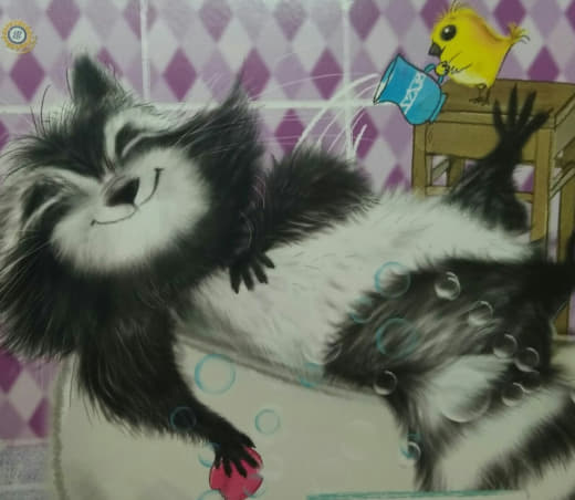 raccoon 03.02.2020