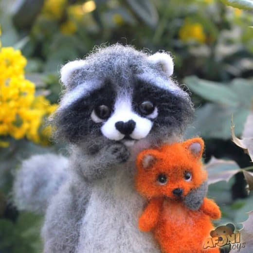 raccoon 03.02.2020