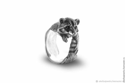 raccoon 02.02.2020