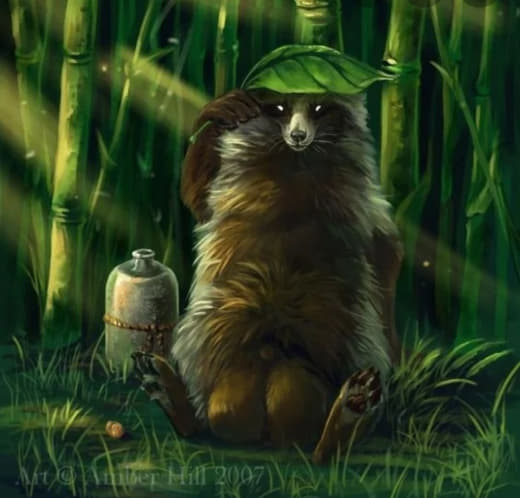 raccoon 02.02.2020
