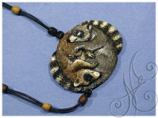 raccoon 02.02.2020