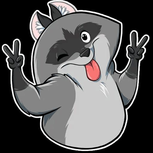 raccoon 01.02.2020