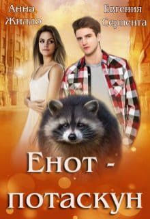 raccoon 31.01.2020