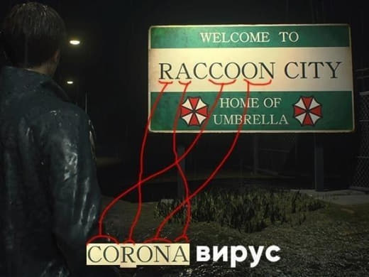 raccoon 31.01.2020