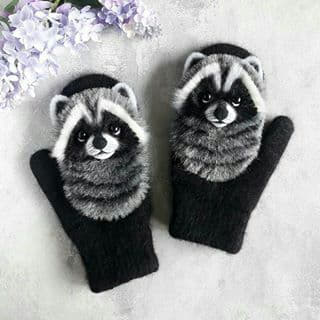 raccoon 30.01.2020
