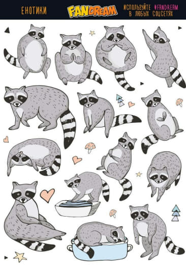 raccoon 30.01.2020