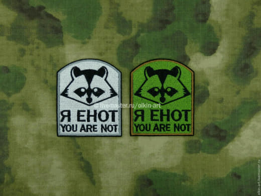 raccoon 30.01.2020