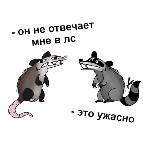 raccoon 30.01.2020