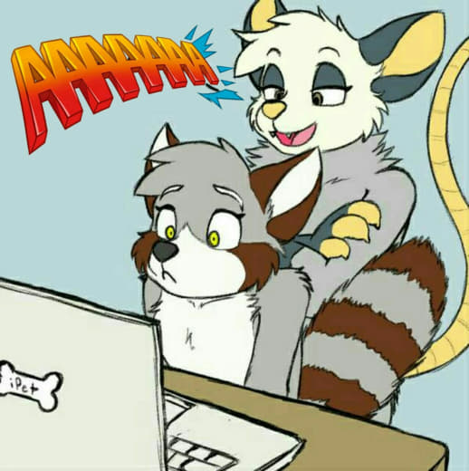 raccoon 27.01.2020