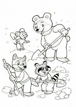 raccoon 27.01.2020