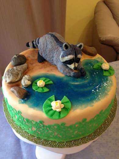 raccoon 26.01.2020