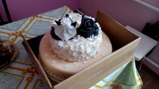 raccoon 26.01.2020
