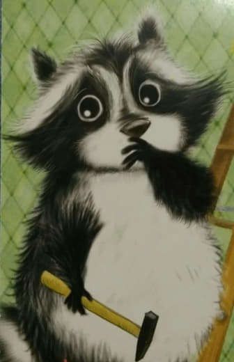 raccoon 26.01.2020