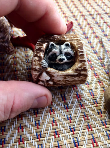 raccoon 26.01.2020