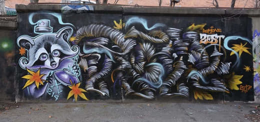 raccoon 23.01.2020