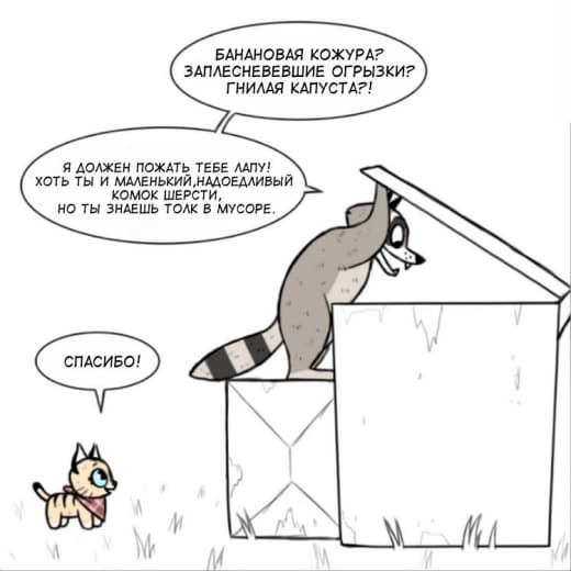 raccoon 22.01.2020