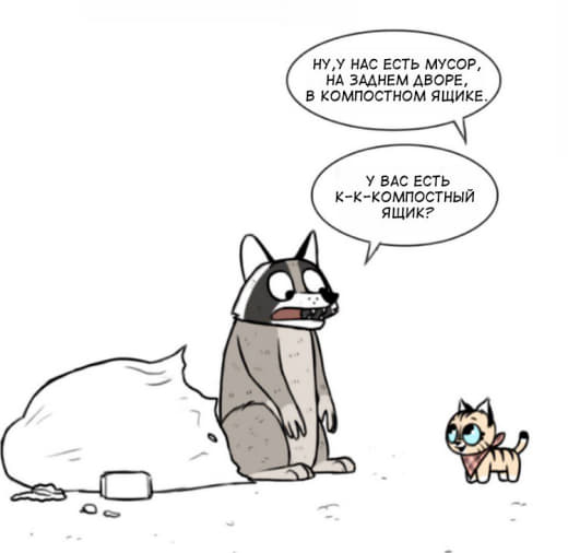 raccoon 22.01.2020