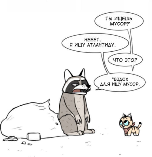 raccoon 22.01.2020