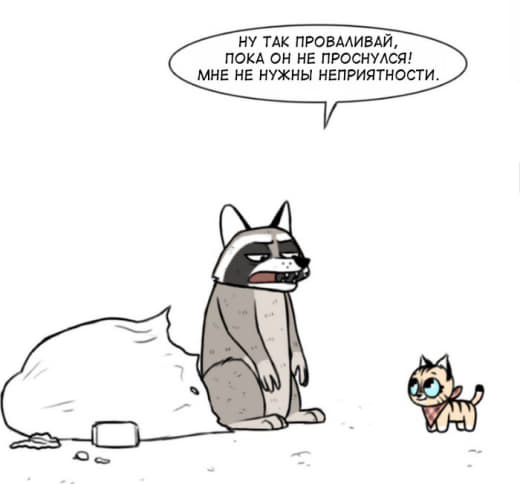 raccoon 22.01.2020