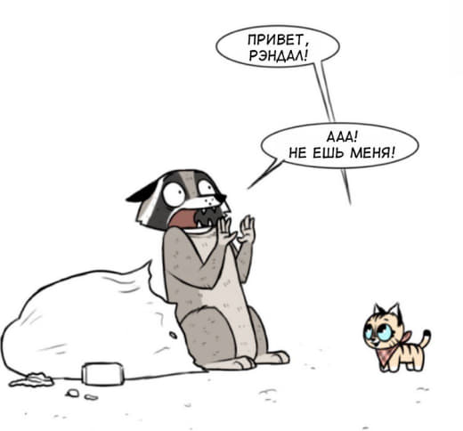 raccoon 22.01.2020