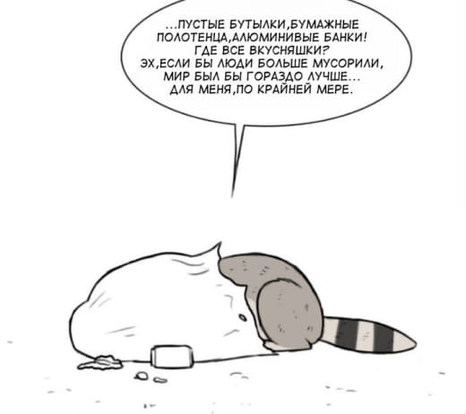 raccoon 22.01.2020