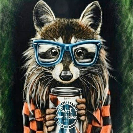 raccoon 19.01.2020