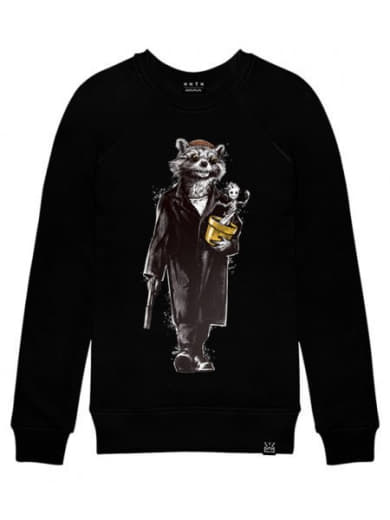 raccoon 18.01.2020