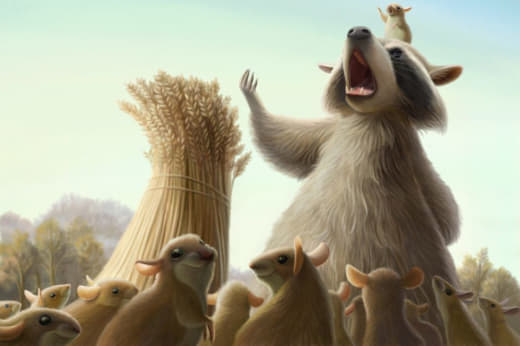 raccoon 14.01.2020