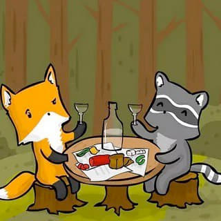 raccoon 14.01.2020