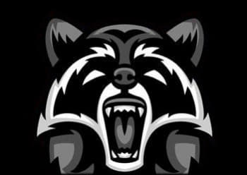 raccoon 05.01.2020