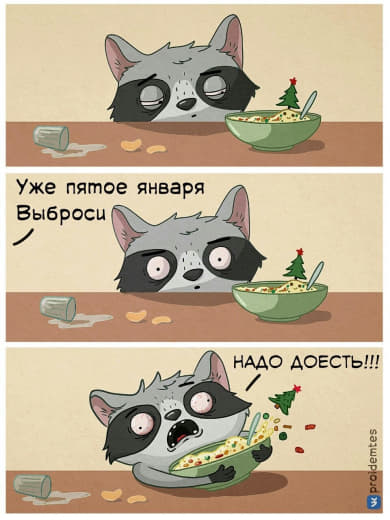 raccoon 05.01.2020